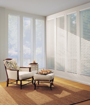 Window Shadings and Privacy Sheers